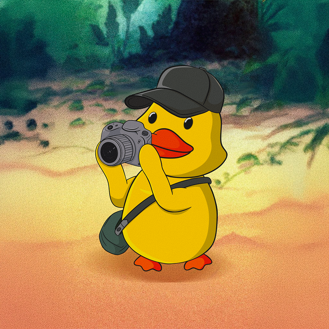 [Image of DEKI Duck D3]