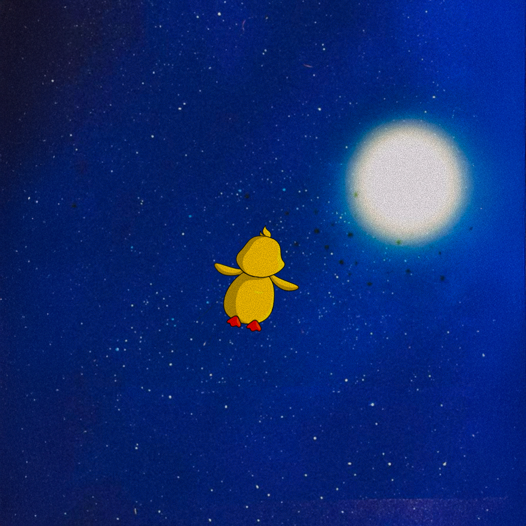 [Image of DEKI Duck D6]